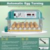 36 Eggs Incubators for Hatching Eggs,Egg Incubator with 4 Automatic Incubate Mode,Chicken Incubator with Automatic Egg Turning Humidity Monitoring,Pou